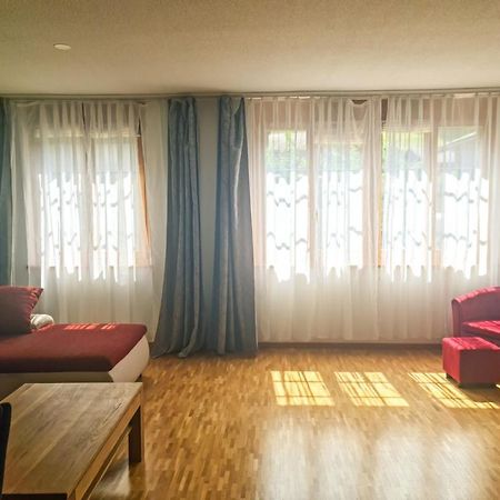 Sofia Apartment - Aare Jungfrau Ag Вилдерсвил Екстериор снимка