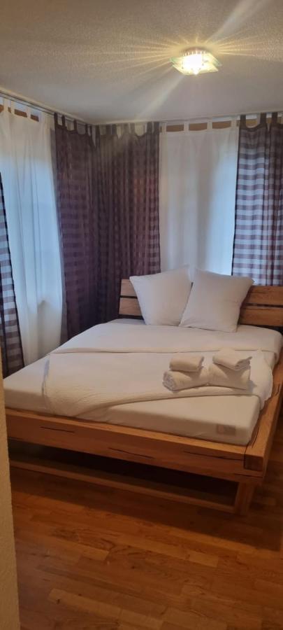 Sofia Apartment - Aare Jungfrau Ag Вилдерсвил Екстериор снимка