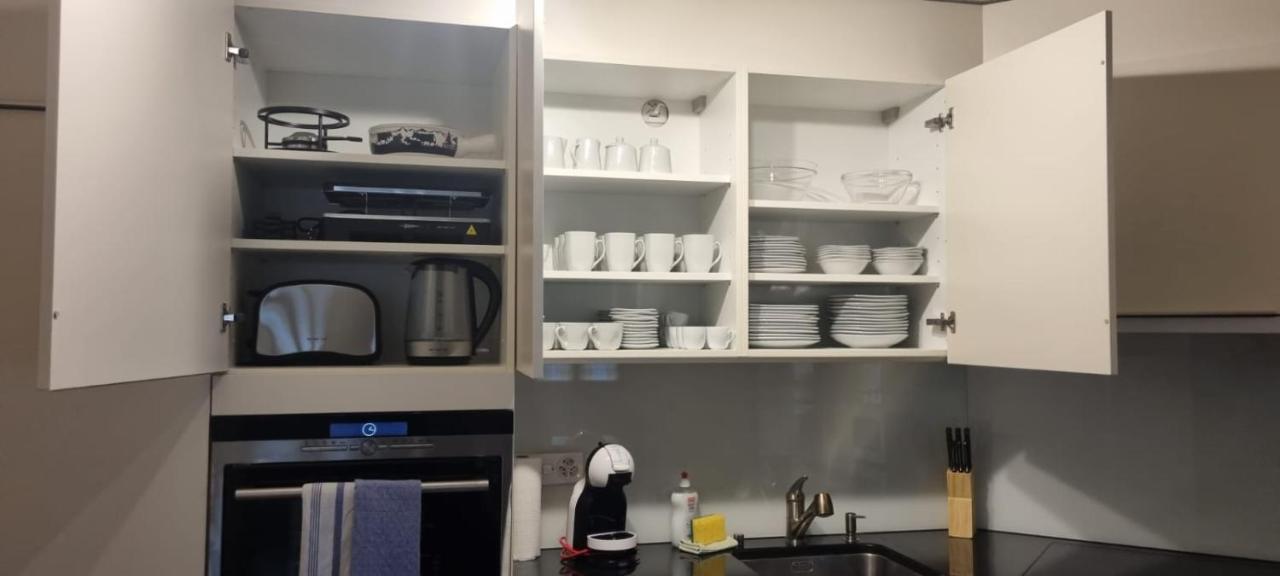 Sofia Apartment - Aare Jungfrau Ag Вилдерсвил Екстериор снимка