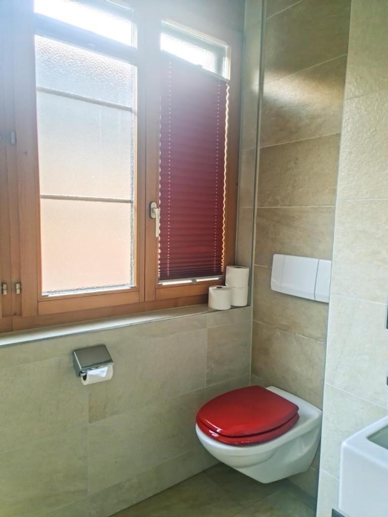 Sofia Apartment - Aare Jungfrau Ag Вилдерсвил Екстериор снимка